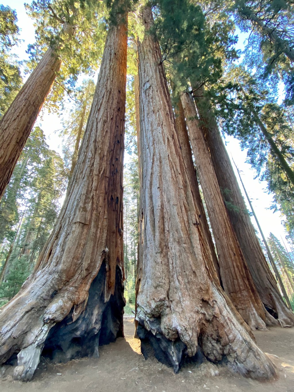3-Day Itinerary: Sequoia National&nbsp;Park